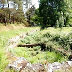 DSCN2445