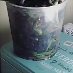 Video Mar?a IG Stories 12-2-2019 (13)