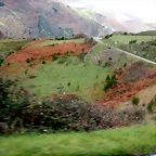 DSCN2211