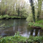 DSCN9180