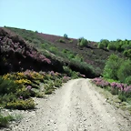 DSCF2487
