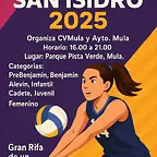 voleysanisi25-1