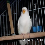 CIMG0055