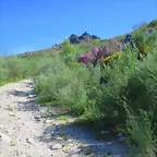027-Imagen 029