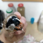 1607280399333