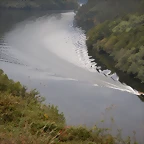 DSCN9931