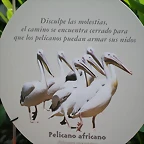 Argentina 2010 4983