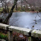 DSCN7445