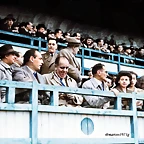 tribuna