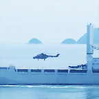 navy
