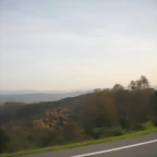 DSCN9887