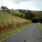DSCN8413