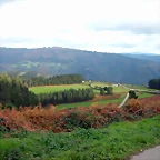 DSCN6240