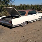 buick wildcat 1964