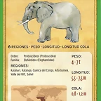 elefante