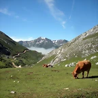 DSCN8138