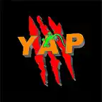 LOGO YAP