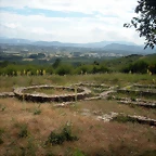 DSCN6145
