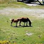 DSCN8434