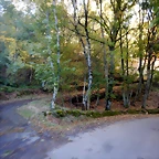 DSCN0249