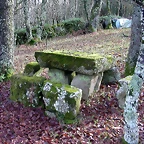 DSCN7317