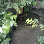 PIC03279