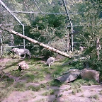 PIC03473