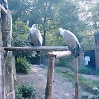PIC03468
