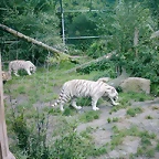 PIC03472