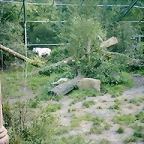PIC03469