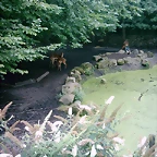 PIC03278