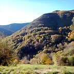 DSCN9516