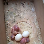 20190302_104238