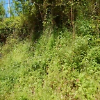 DSCN9868
