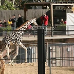 Zoo de Barcelona 28-11-2010 607