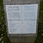 DSCN9230
