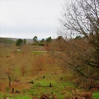 60-IMG_4579 - copia