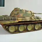 panther3 003