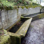 DSCN0588