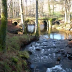 DSCN2102