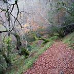 DSCN0772