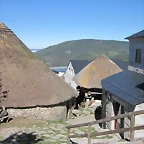 IMG_6957