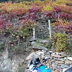 DSCN6546