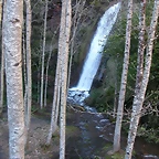 DSCN8015