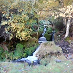 DSCN1332
