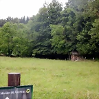 DSCN4601