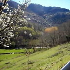 DSCN9214