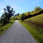 DSCN0806