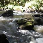 DSCN2794