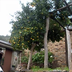 DSCN1122
